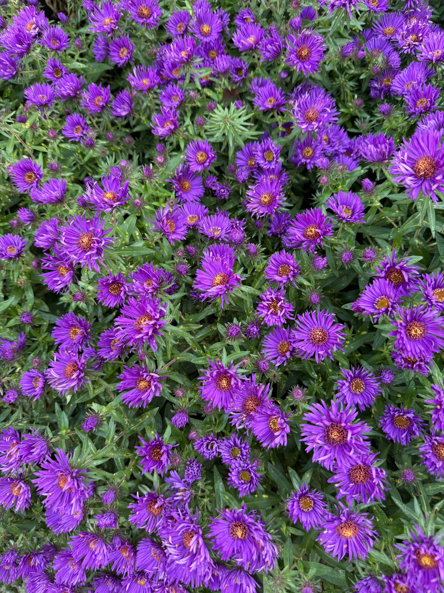 Quiet Between Seasons