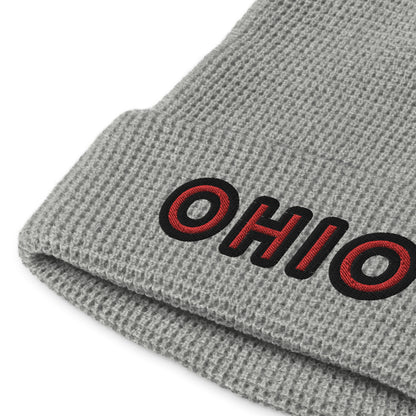 OHIO simple 🌰 Waffle beanie